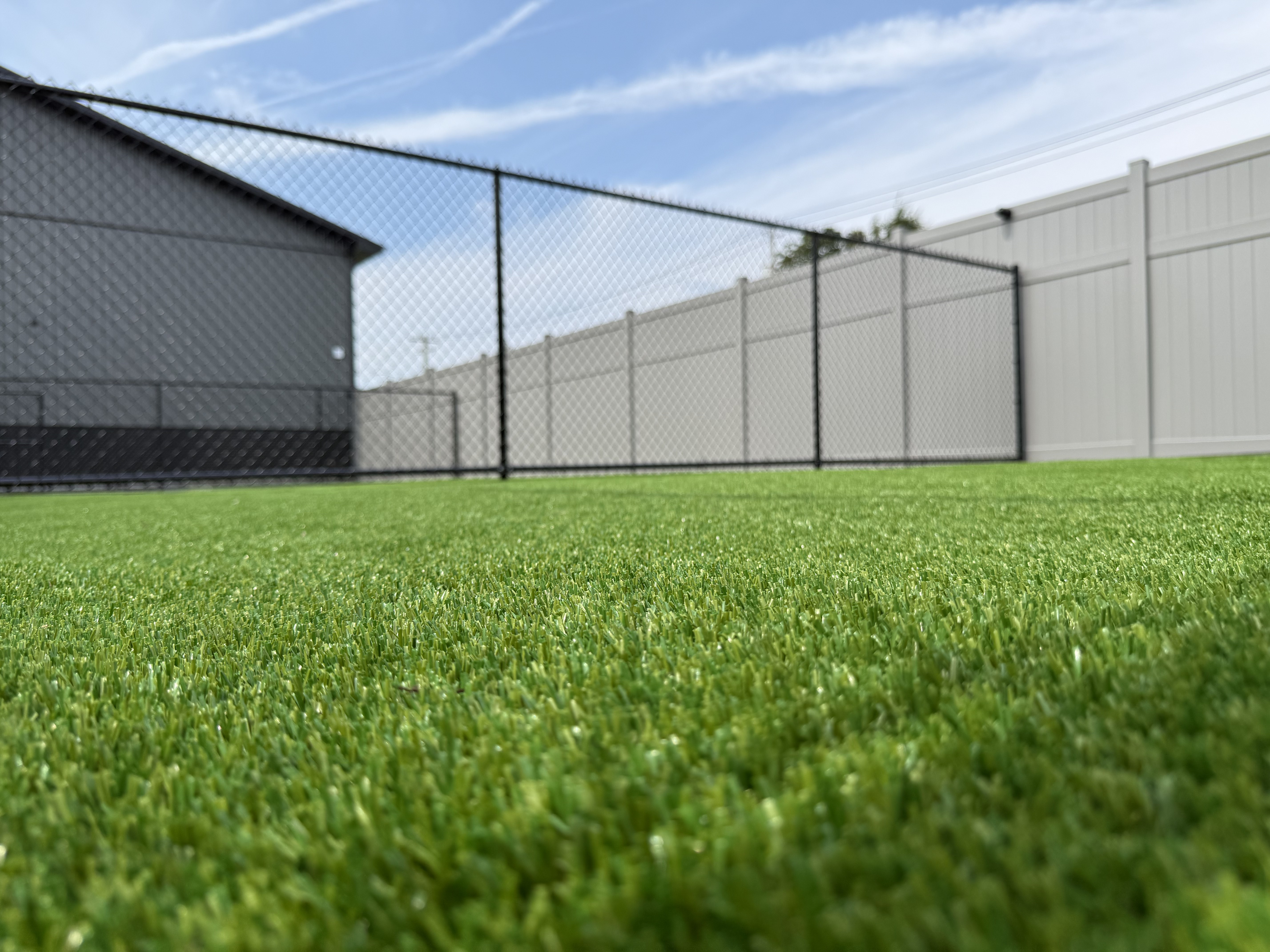 Fenced outdoor turf play yard at Barkingham Palace in Rotterdam, NY