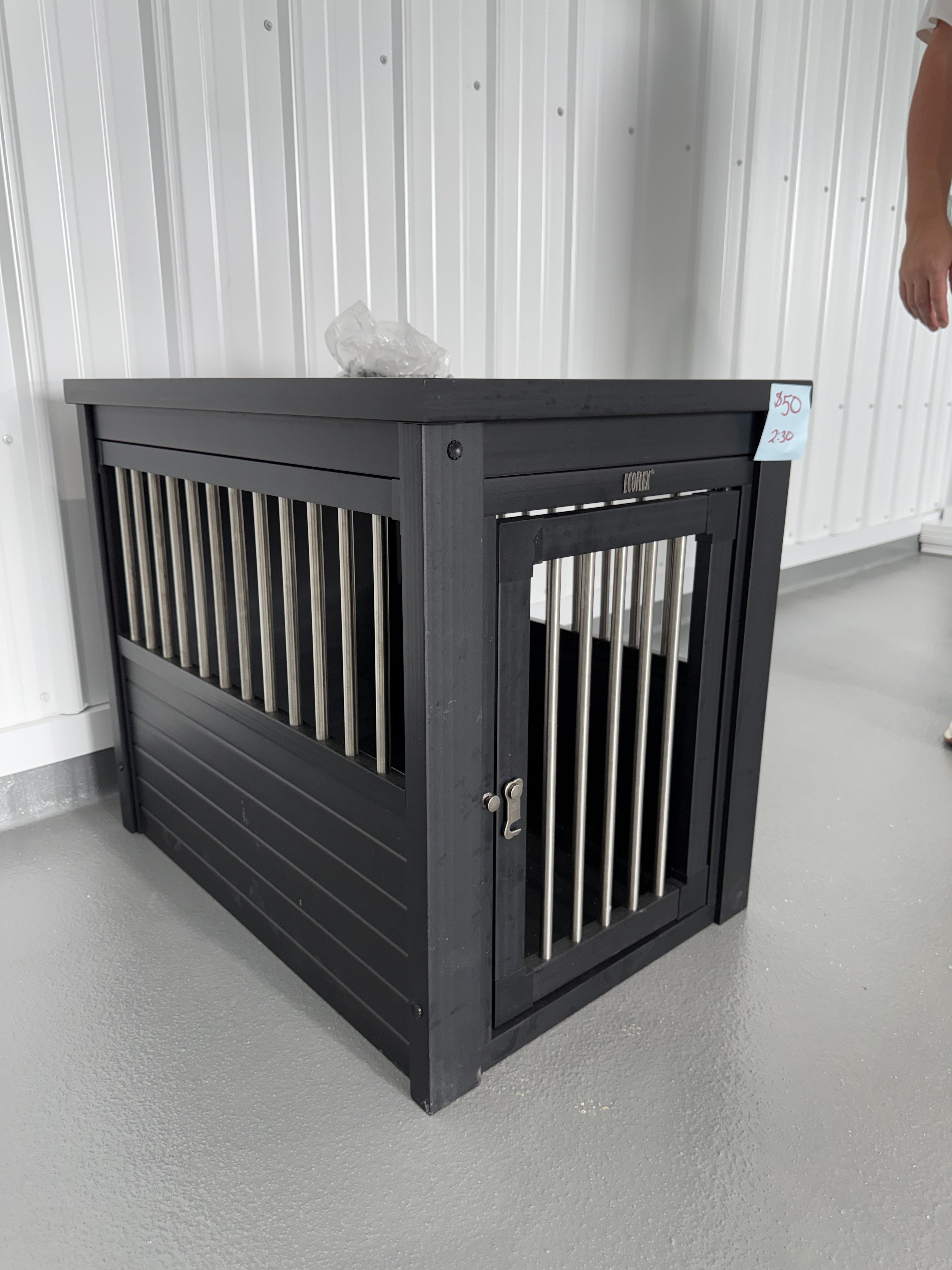 Overnight dog boarding at Barkingham Palace in Rotterdam, NY