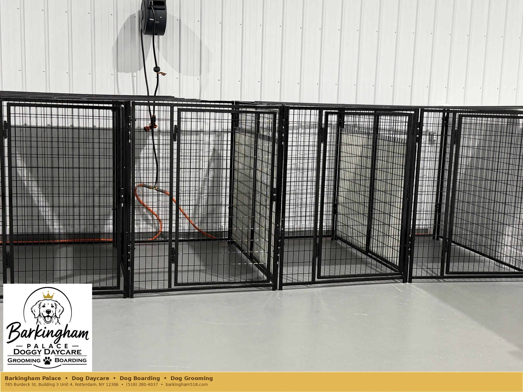 Dog boarding near me in Rotterdam, NY, with adjoining black metal overnight sleeping suites inside Barkingham Palace