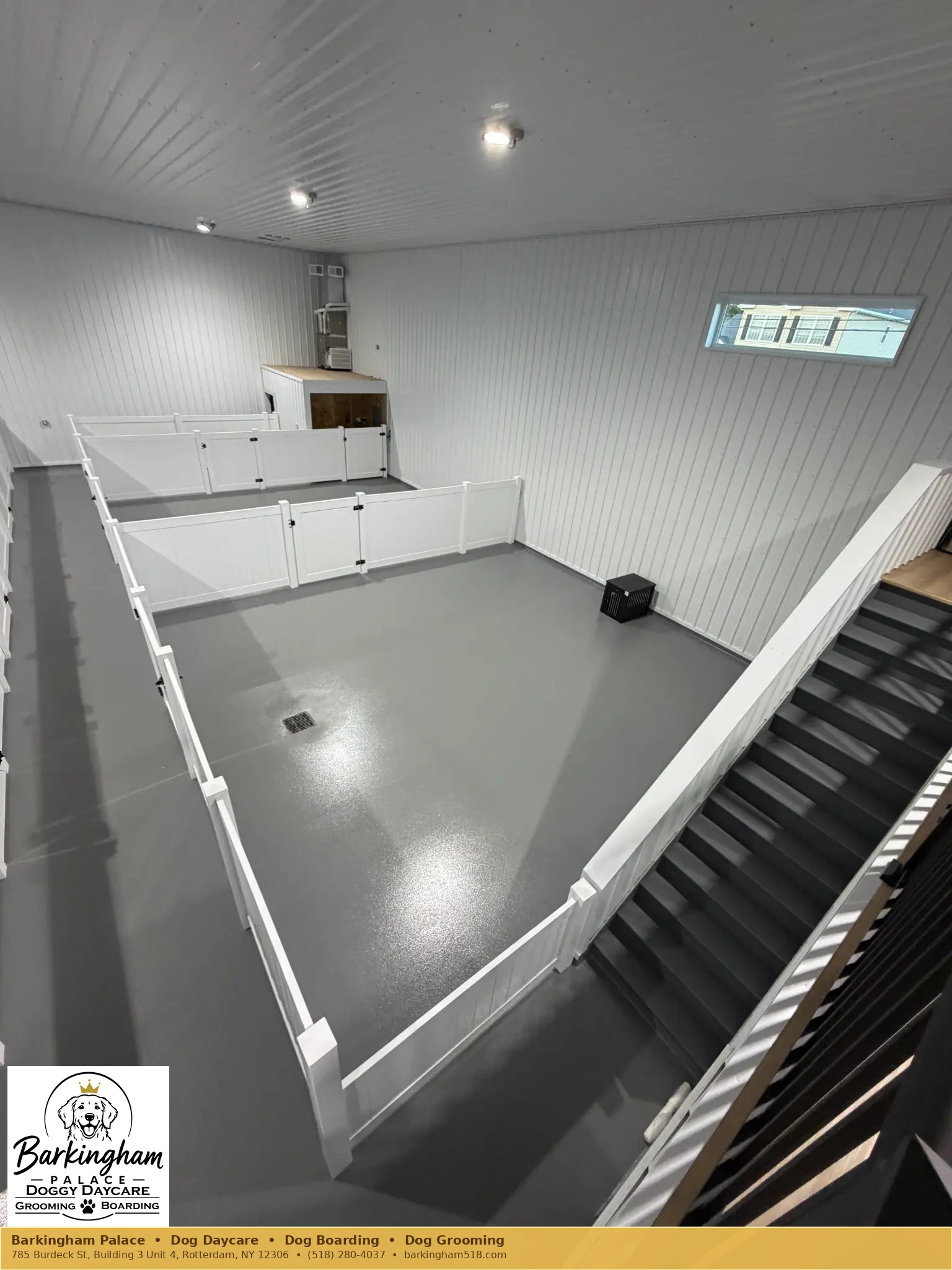 Overhead view of bright indoor dog-care suites at Barkingham Palace in Rotterdam, NY