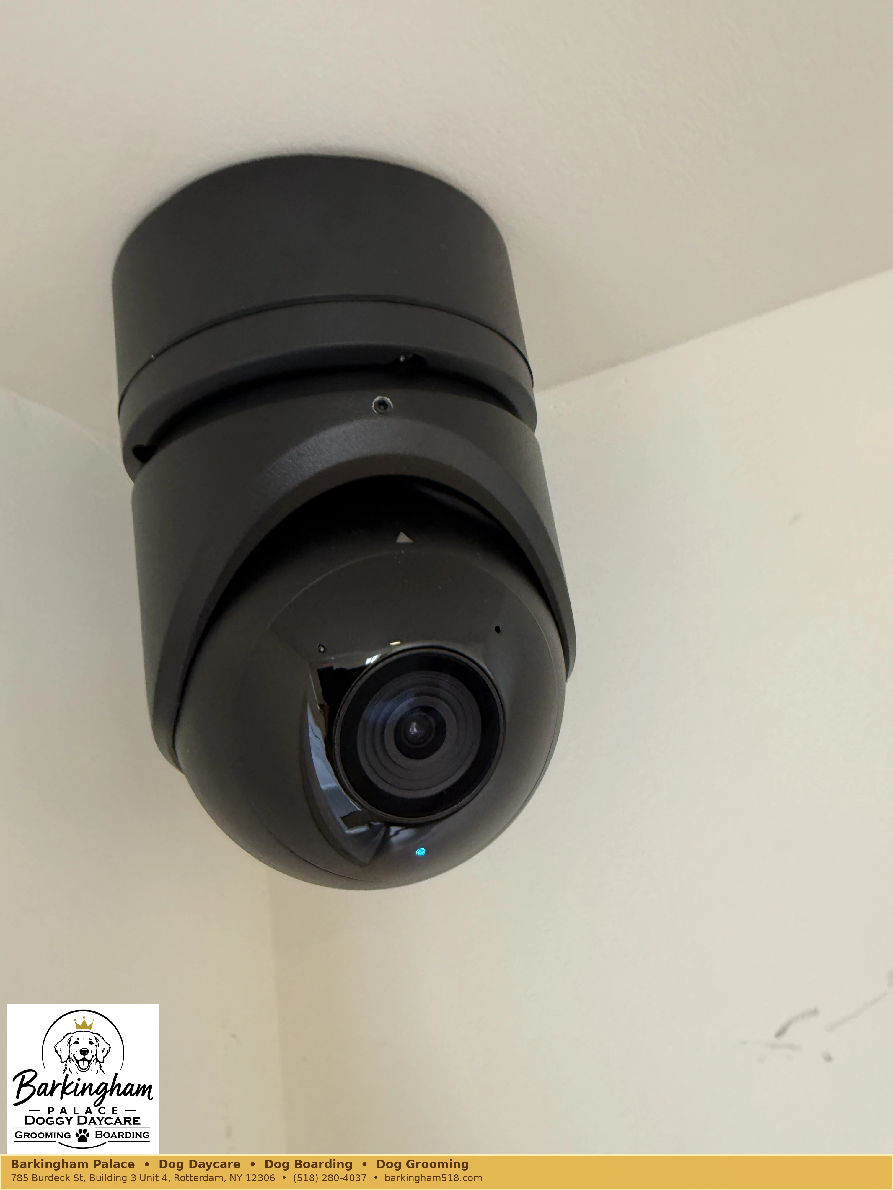 Installed safety camera hardware at Barkingham Palace in Rotterdam, NY