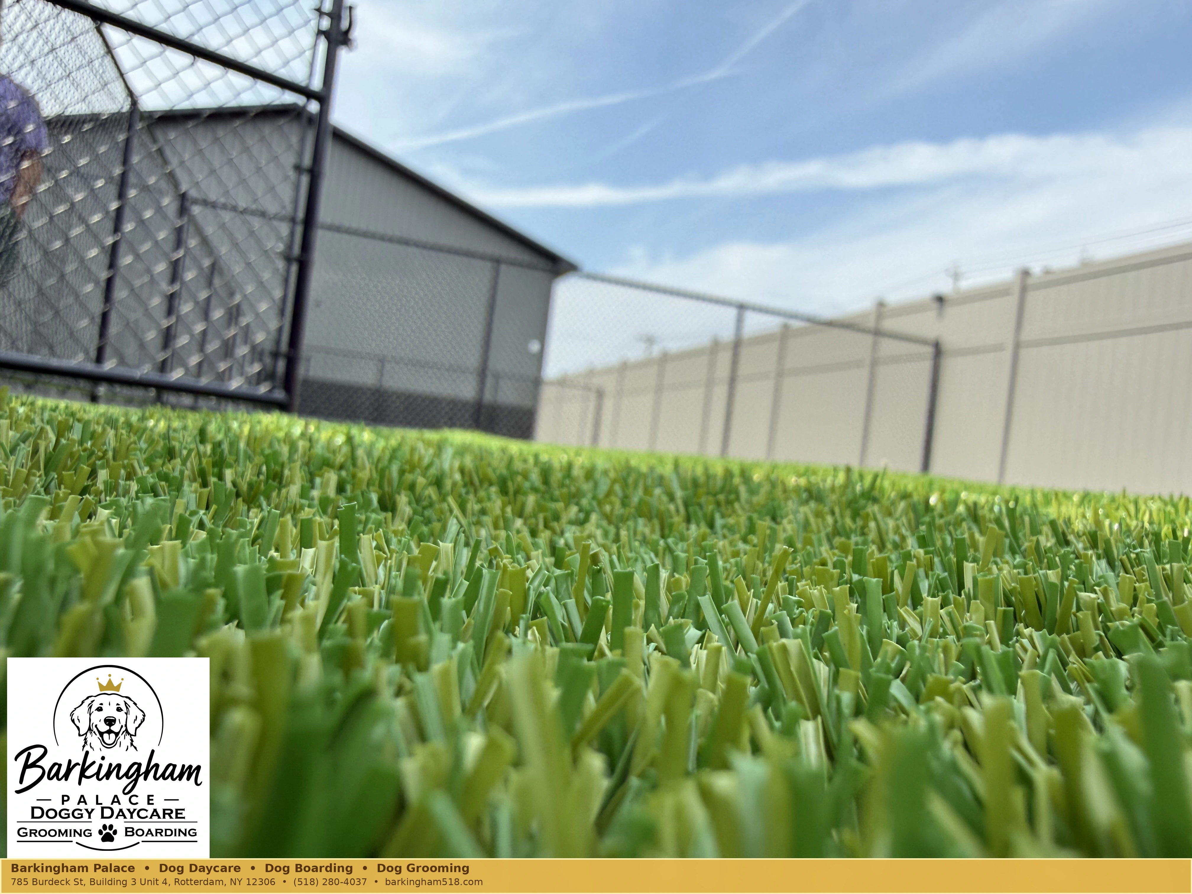 Close-up of the outdoor green turf at Barkingham Palace in Rotterdam, NY