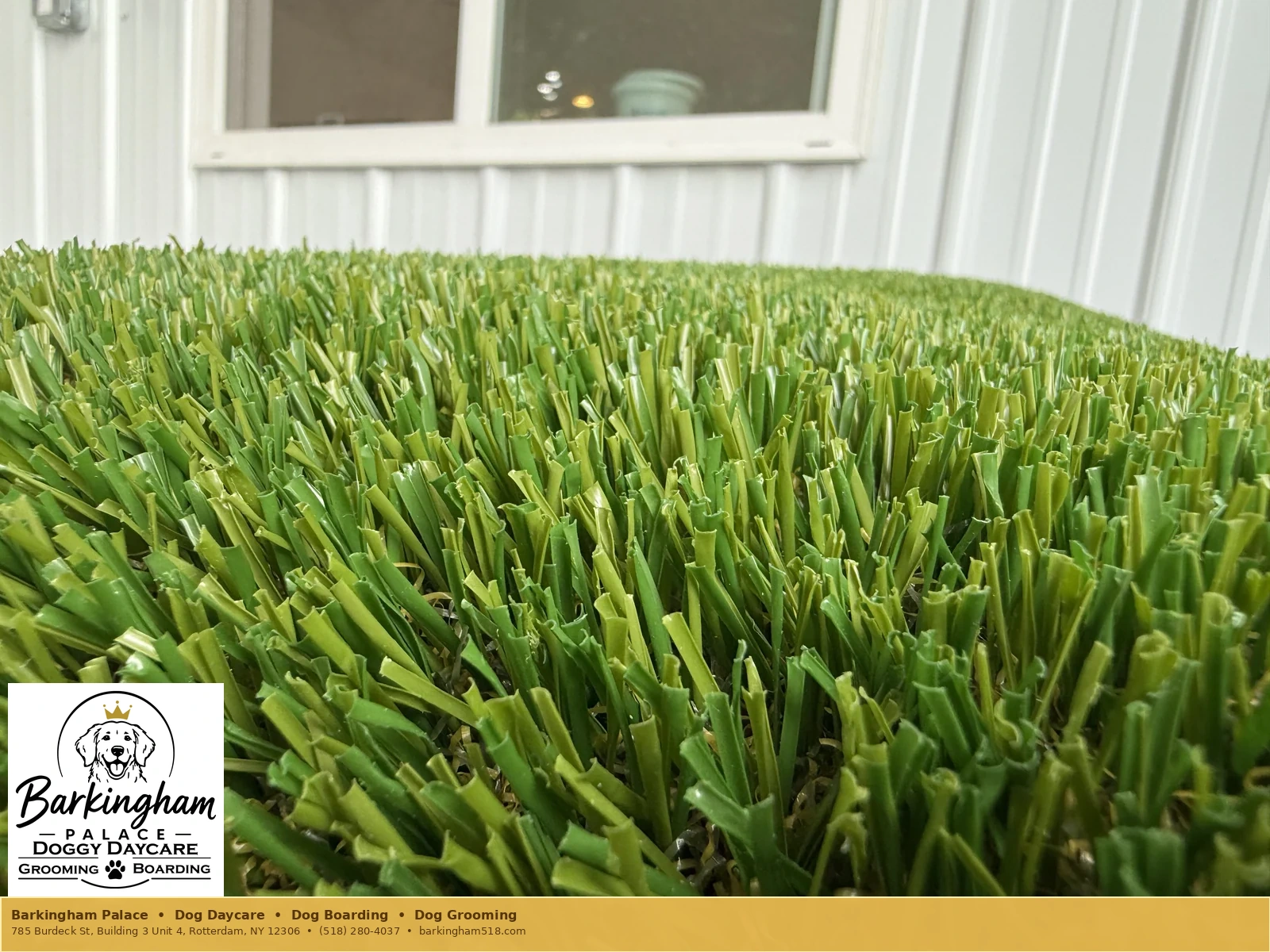 Close-up of newly installed outdoor turf at Barkingham Palace in Rotterdam, NY