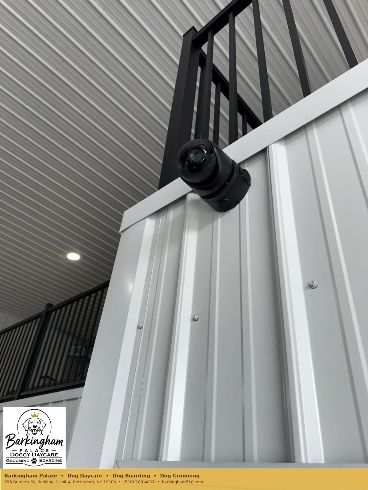 Installed camera hardware at Barkingham Palace dog care facility in Rotterdam, NY