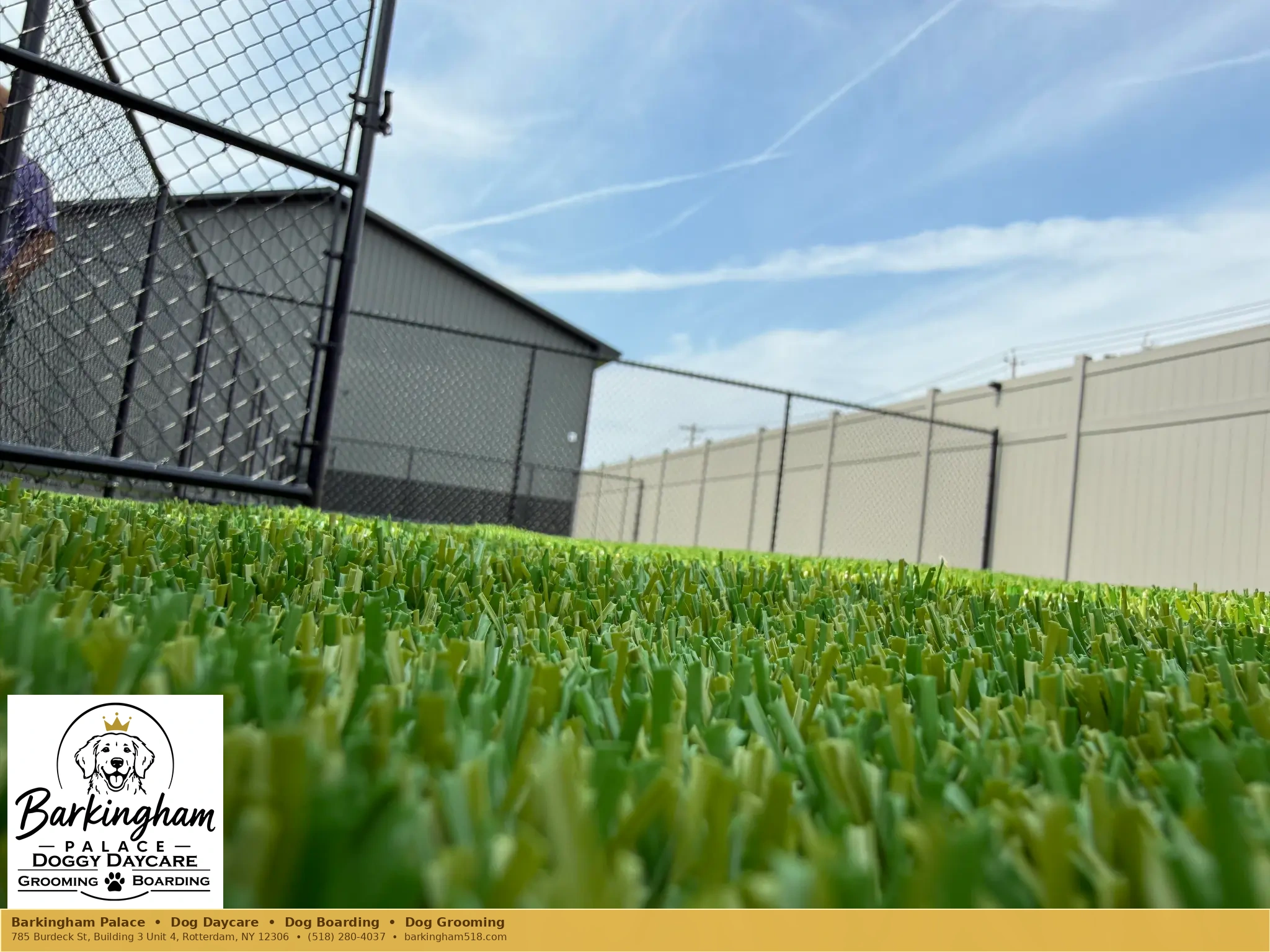 Low-angle real view across finished outdoor turf at Barkingham Palace dog daycare in Rotterdam, NY